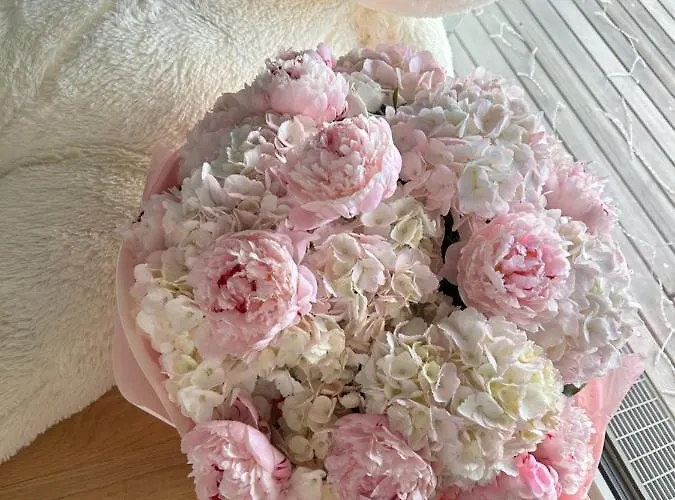 Apartamento Family Boutique 3 *